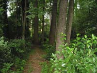 IMG_0109