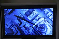 IMG_0916